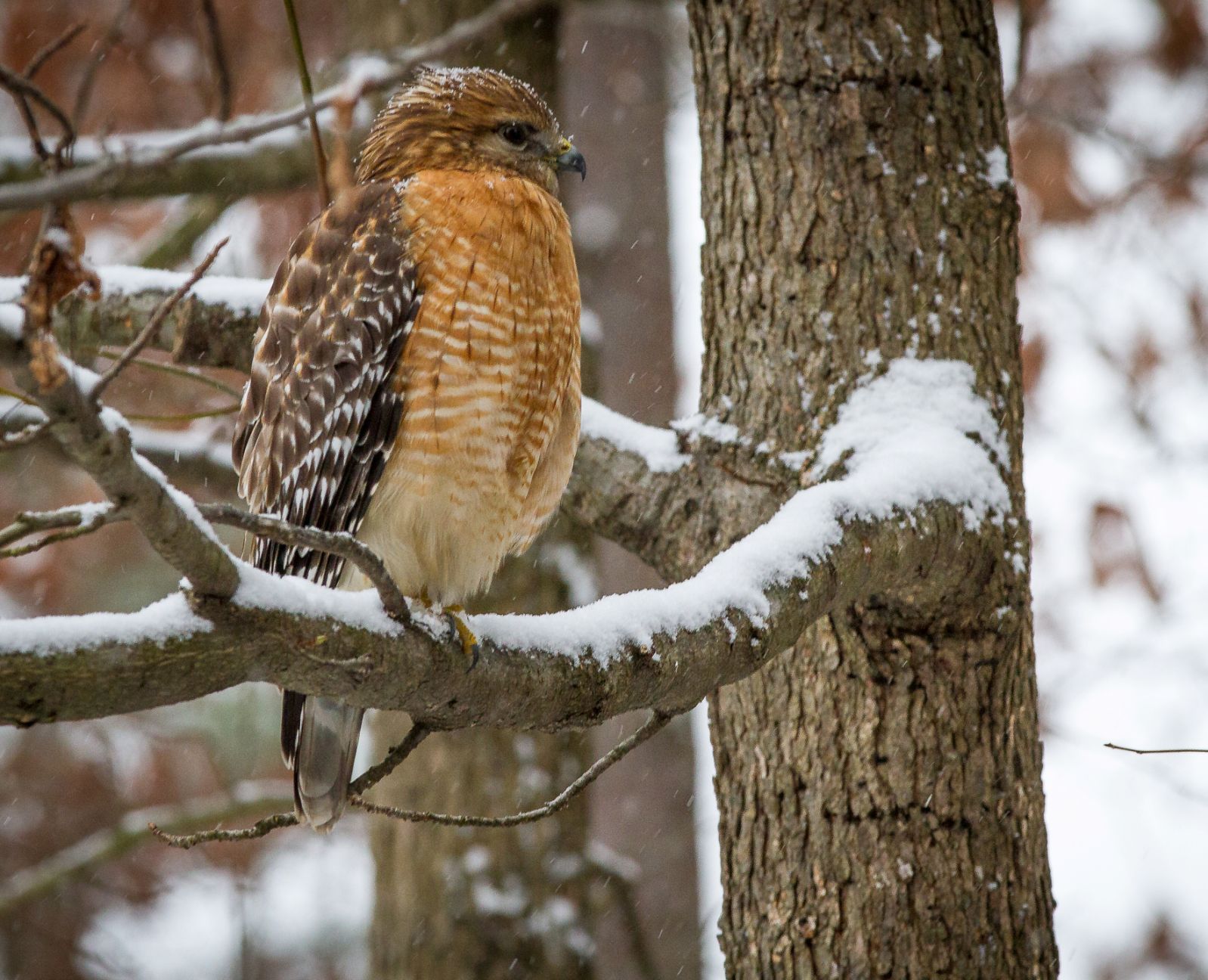 Scenic Virginia for Dec. 12, 2015